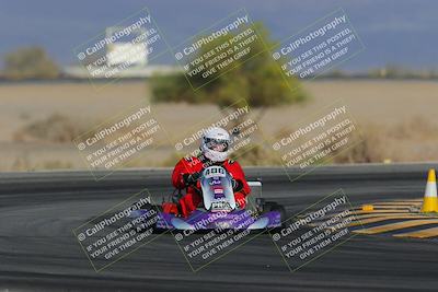 media/Mar-29-2025-Pro Autosports (Sat) [[89b1c017ad]]/6-Purple Group/Main Race/